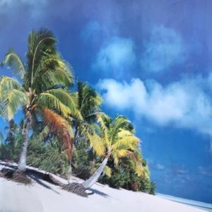 Meet your Posher, Setsuko